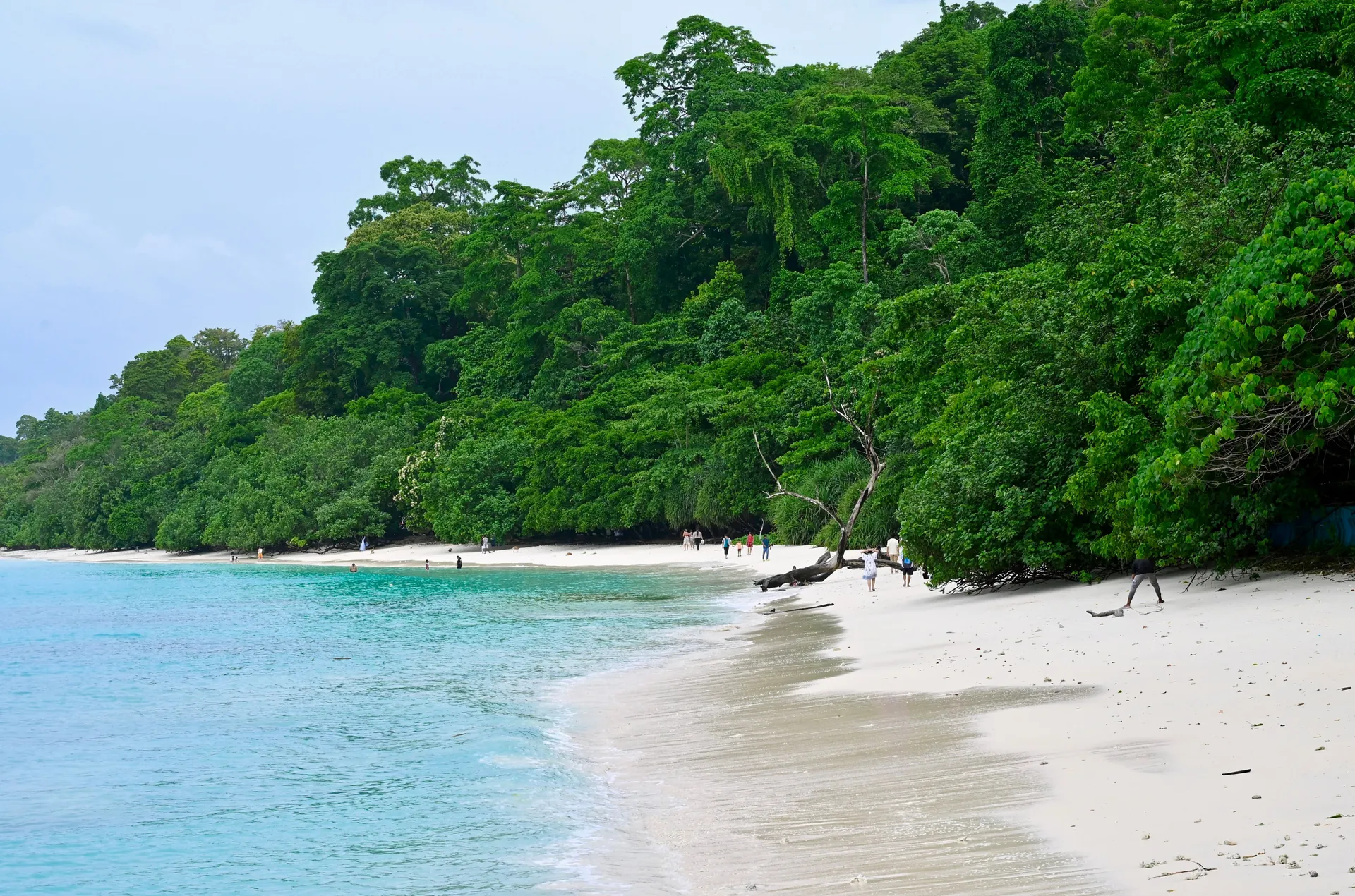 Rest Nest Andaman Island Beach Views