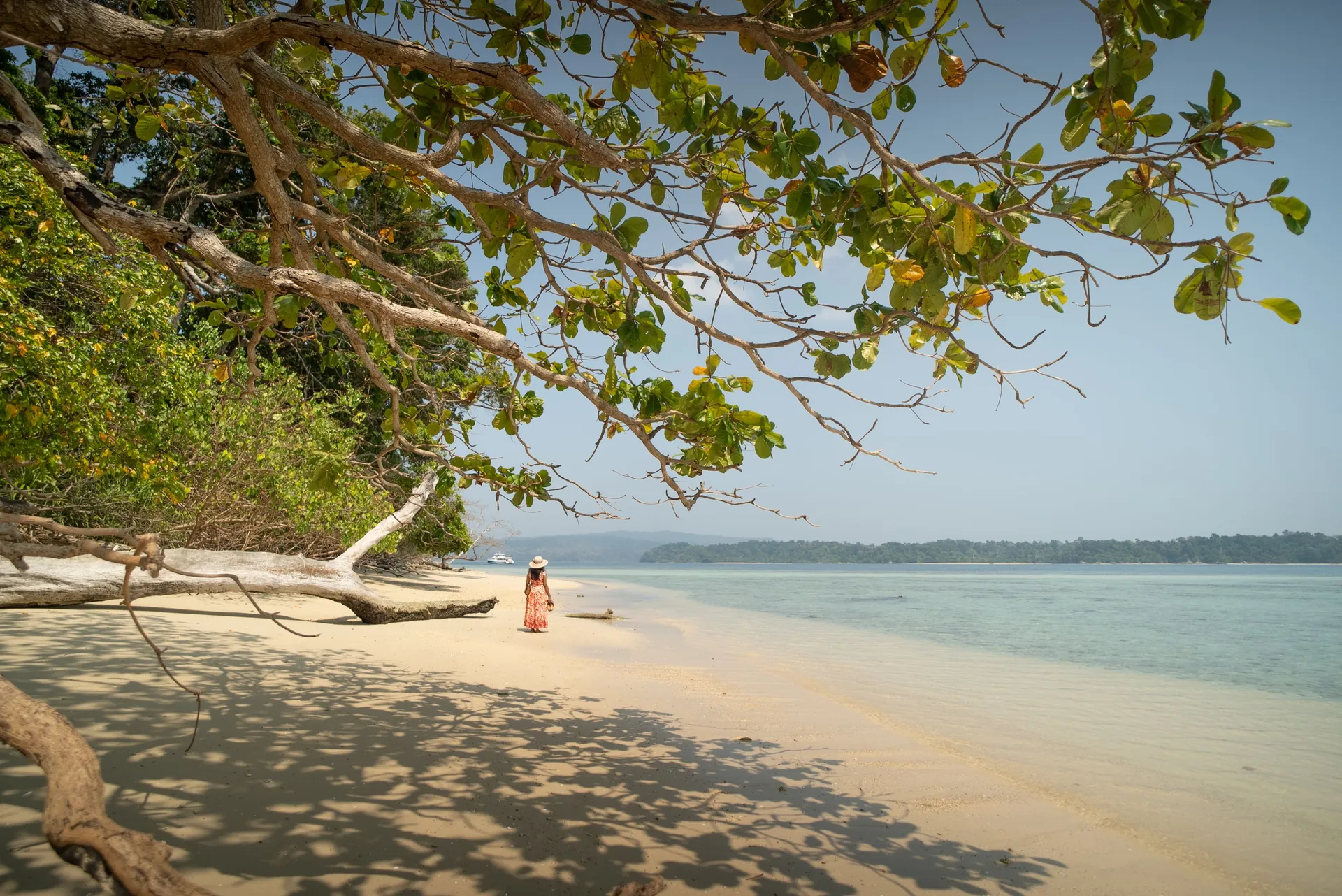Andaman Island Coastline